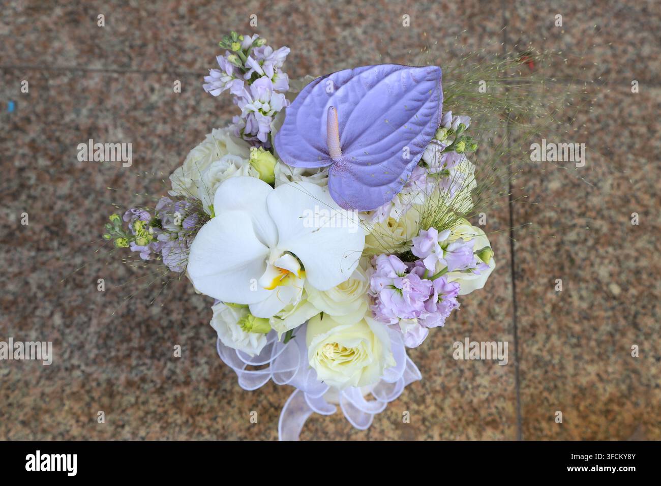 Ein anspruchsvolles Blumenarrangement mit großen weißen Phalaenopsis-Orchideen, einzigartigen violetten Anthurien (Flamingoblume), cremefarbenen gelben Rosen und pal Stockfoto