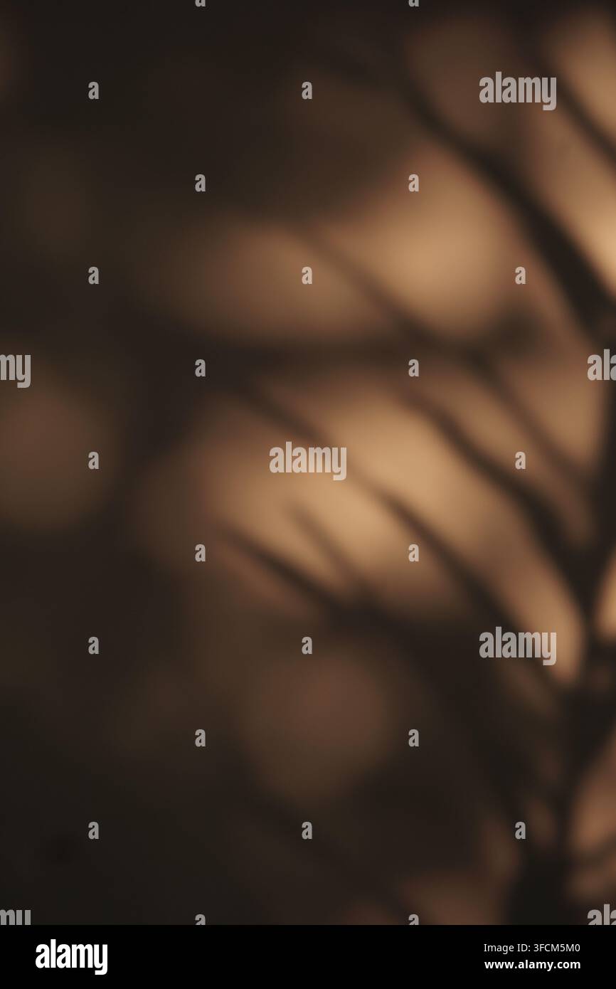 Ein unscharfes, stimmungsvolles Bild mit weichen Schatten von Astzweigen vor einer warmen, sepiafarbenen Oberfläche. Ideal für minimalistische Designs und stimmungsvolle Ästhetik Stockfoto