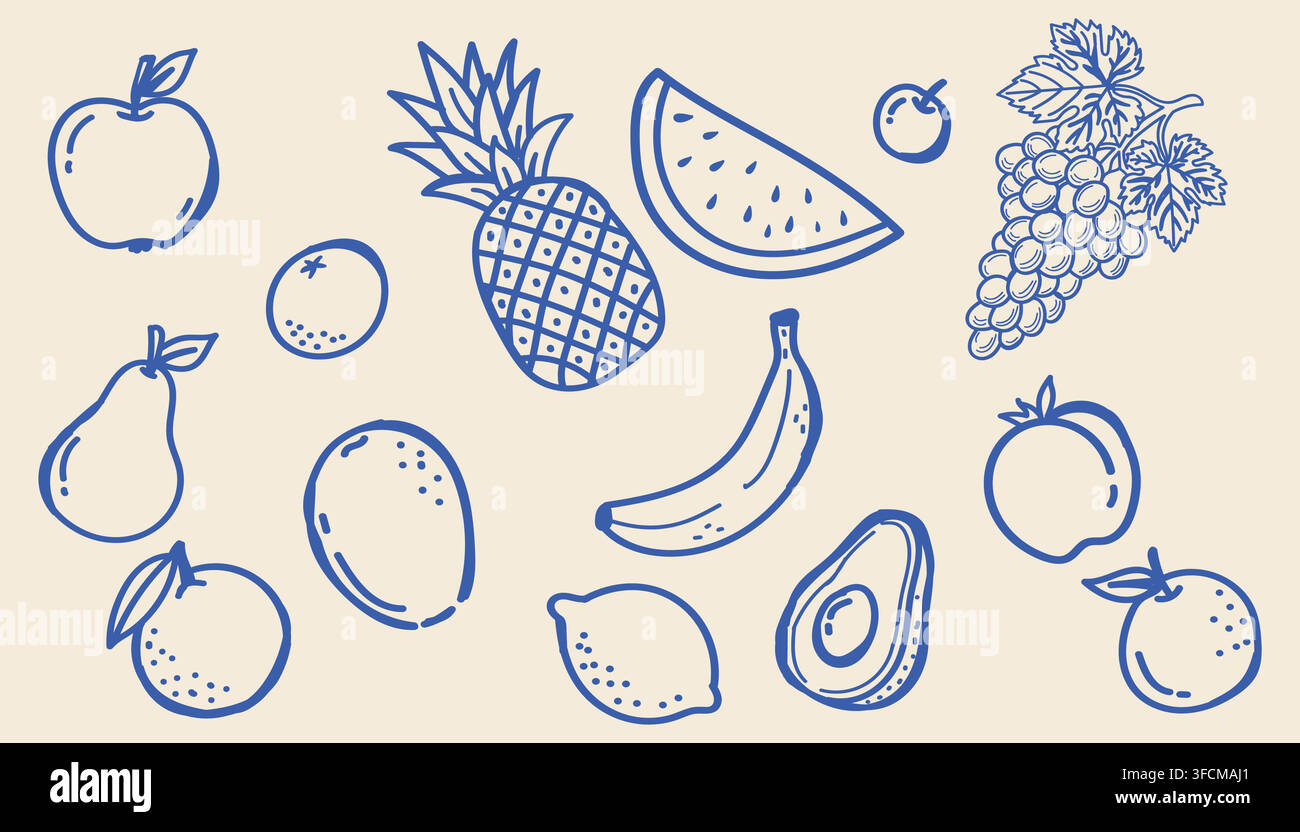 Stilisierte blaue Linienillustration verschiedener Früchte, darunter Apfel, Ananas, Wassermelone, Trauben, Kirschen, Birne, Mango, Banane, Pfirsich, Orange. Stock Vektor