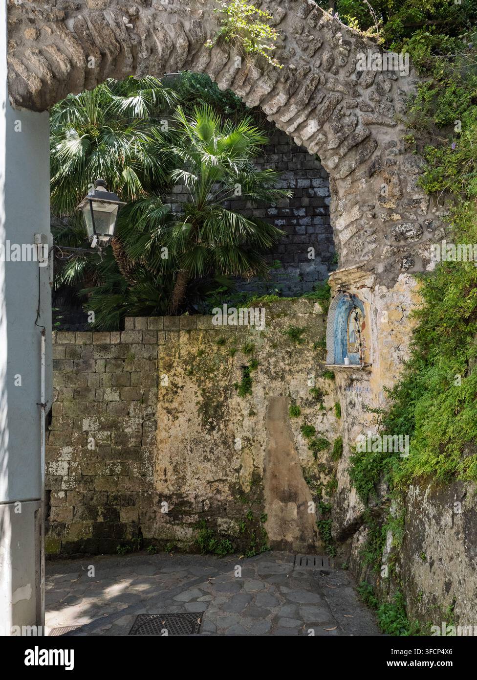 Alter Steinbogen mit religiöser Nische und Palmenbaum, Sorrento, Italien. Stockfoto