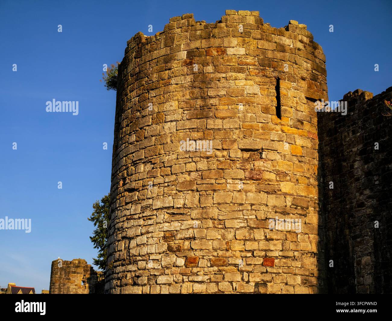 Alter Stein, Stadtmauern, vom Abendsonnenlicht beleuchtet, Caernarfon, Wales, UK. Stockfoto