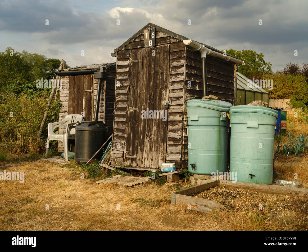 Siddington, Gloucestershire – Verwitterter Holzschuppen in einem traditionellen englischen Kleingarten nach einer langen Dürre, mit Regenwassersammelzubern, g Stockfoto