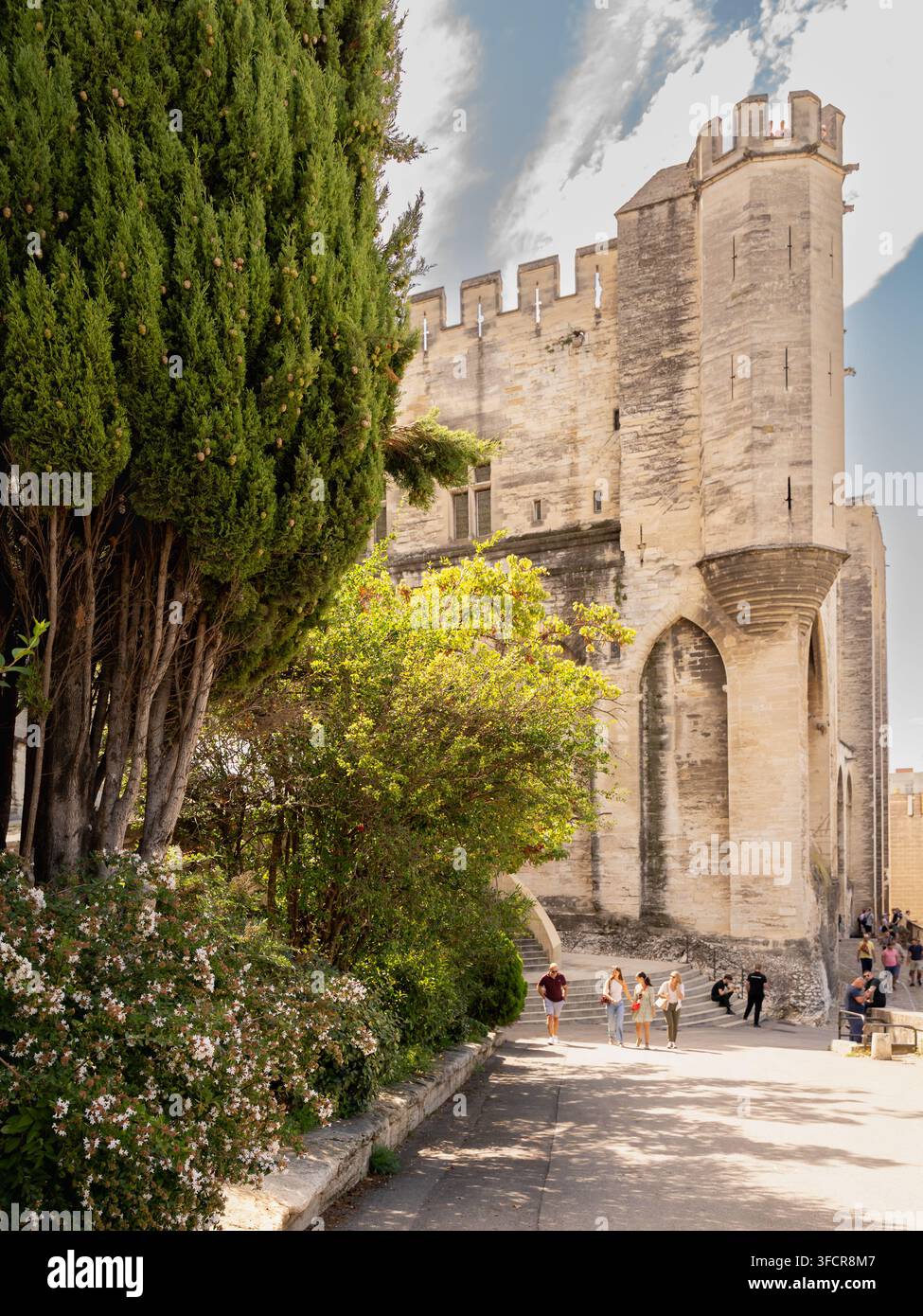 Historische Fassade des Palais des Papes in Avignon, Provence, Frankreich Stockfoto