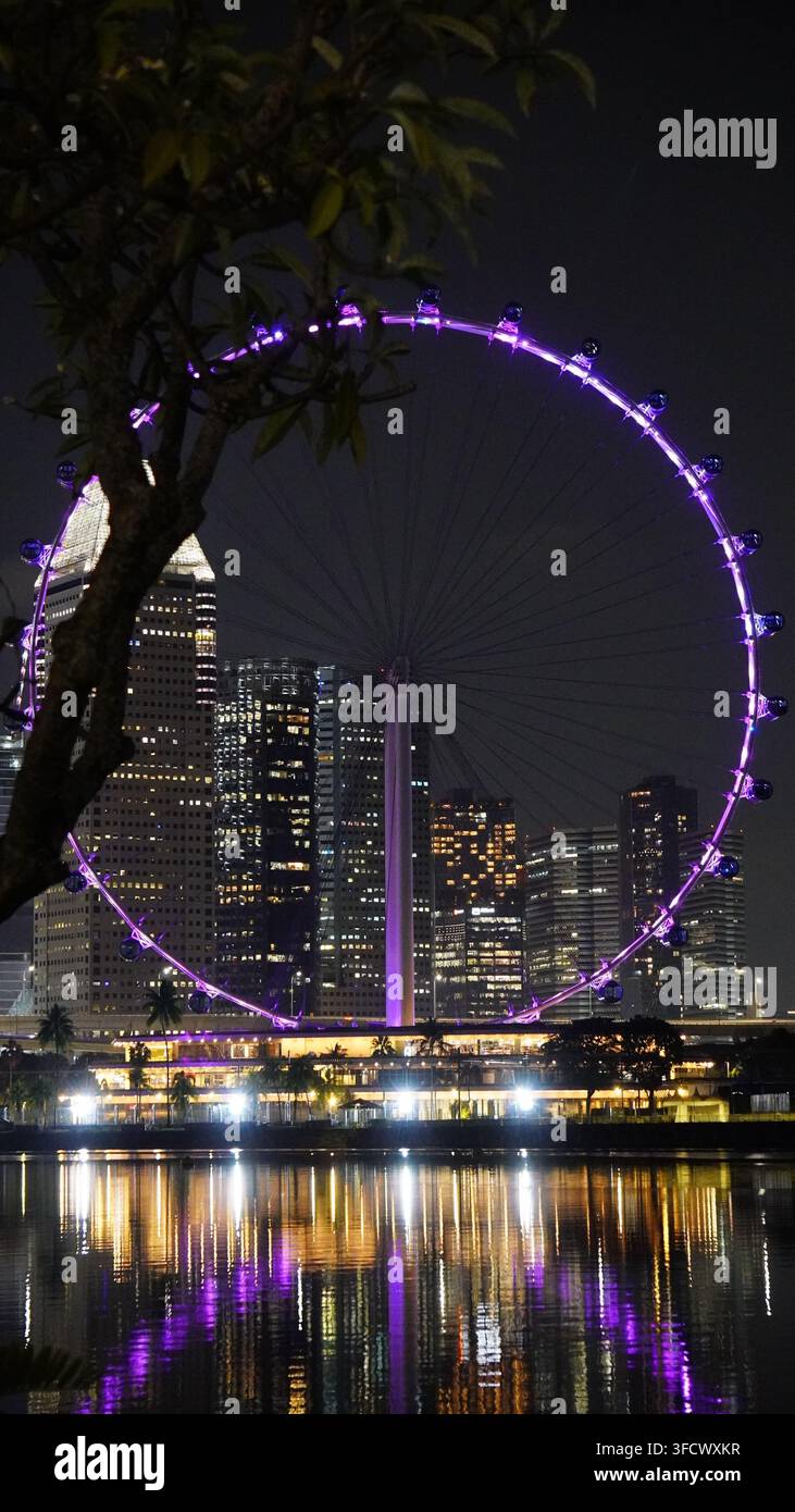 Lila Riesenrad mit Skyline-Reflexion bei Nacht. Ein voll beleuchtetes lila Riesenrad steht neben einer beleuchteten Stadtsilhouette, eingerahmt von einem Ast Stockfoto