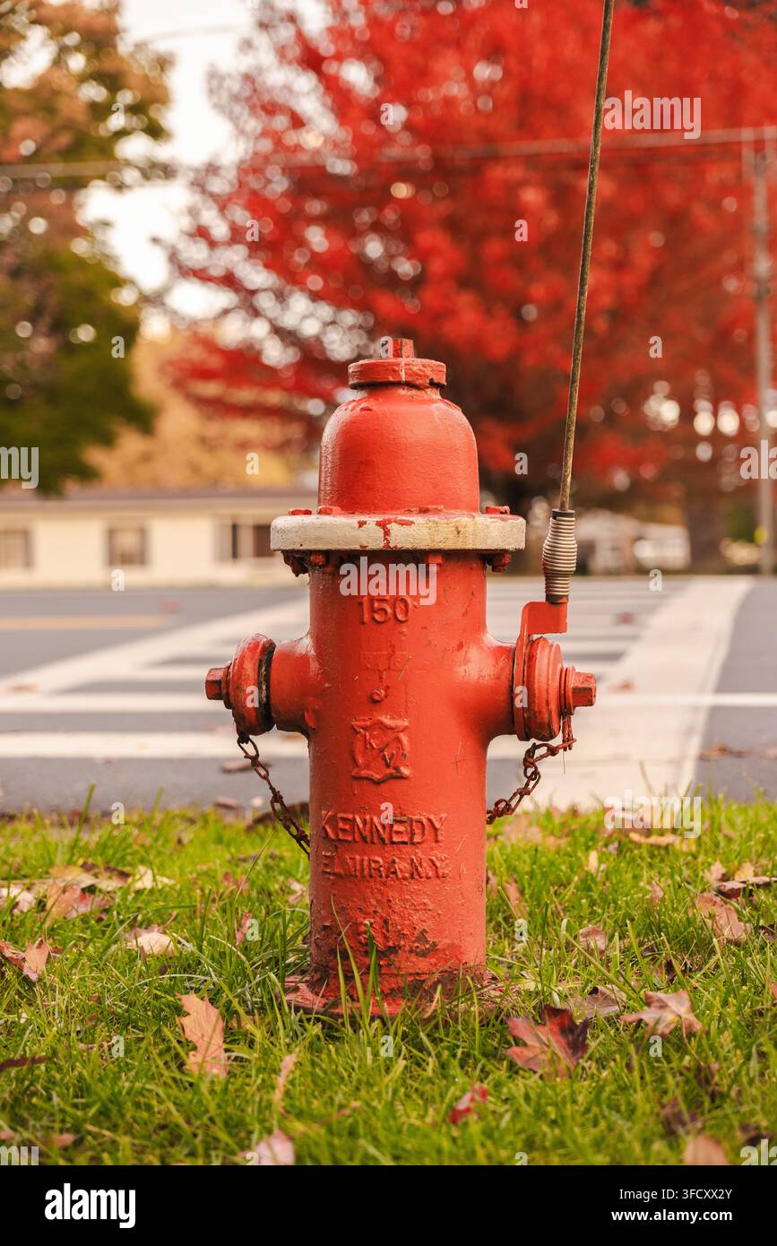 Verwitterter roter Feuerhydrant unter Herbstbäumen Stockfoto