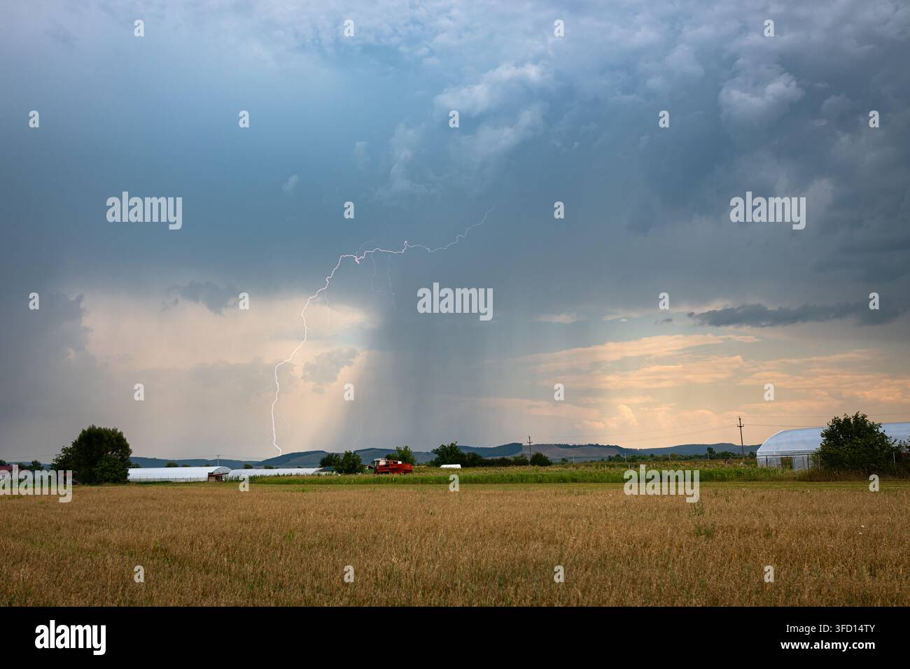 Dramatischer Blitzschlag neben einem Regenschleier eines schweren Gewitters über goldenem Ackerland in Zentraltranssilvanien, Rumänien Stockfoto