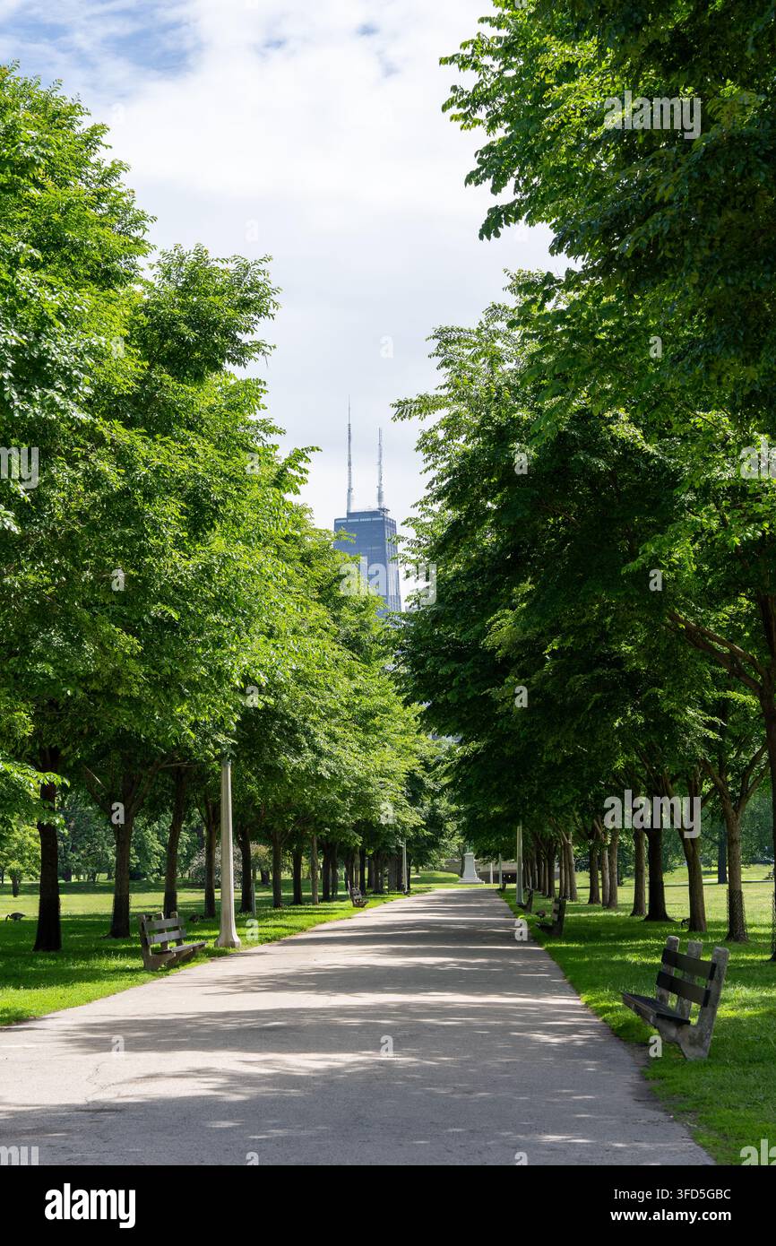 Prachtvolle baumgesäumte Gehweg im Lincoln Park, Chicago, mit Bänken, üppigem grünem Gras und dem John Hancock Center zwischen den Bäumen sichtbar bei Sonnenschein Stockfoto