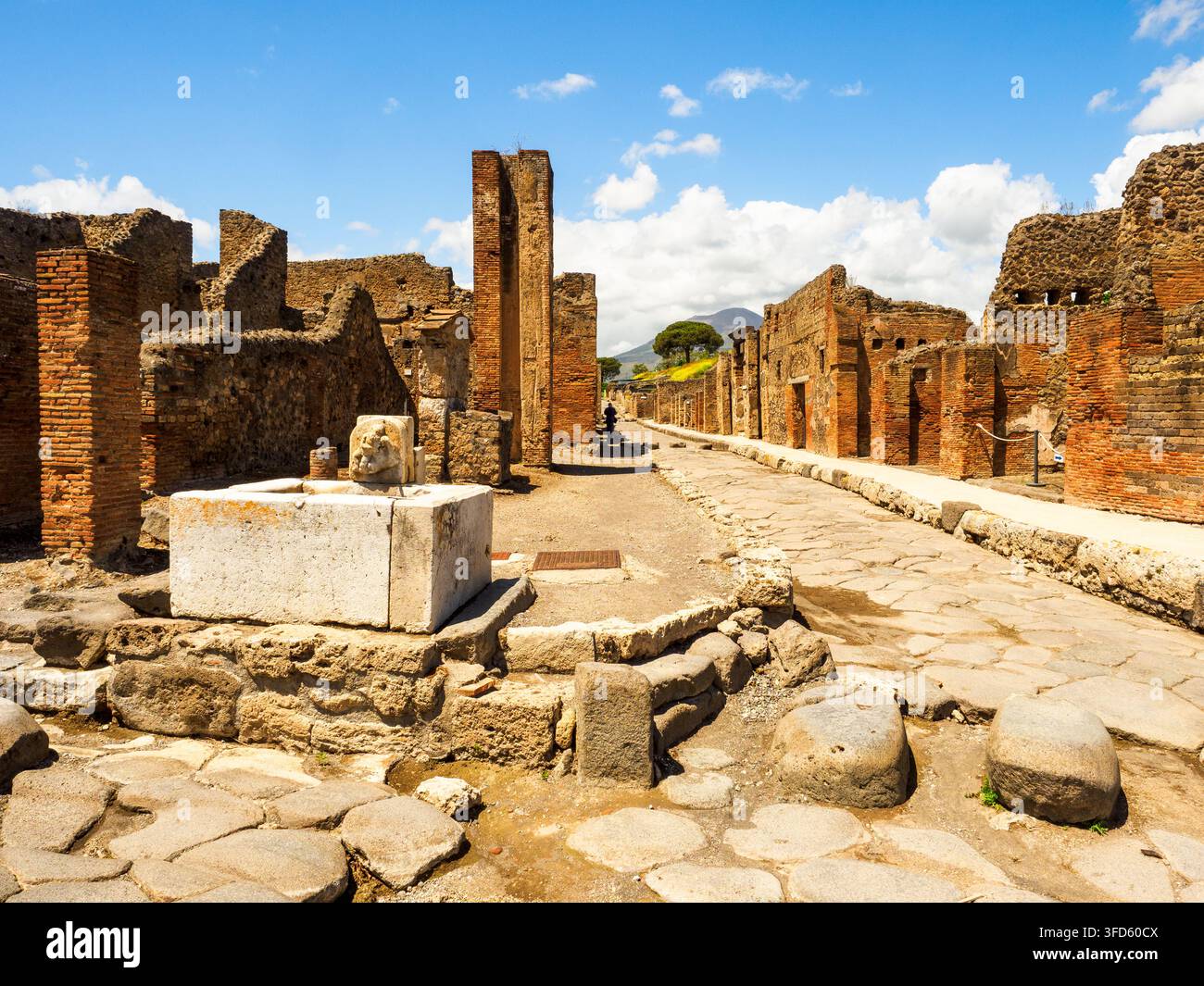 Gepflasterte Straße – Archäologischer Fundort Pompeji, Italien Stockfoto