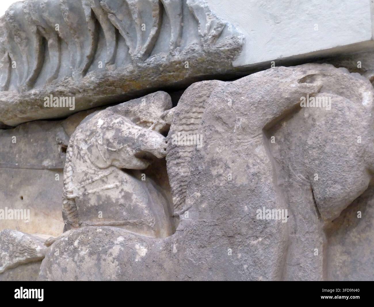 DELPHI, GRIECHENLAND - 13. MAI 2025 - Verwitterte Marmor-Basenrelief, das skulpturale Pferdeköpfe und verschlungene Beine hervorhebt, was auf eine dynamische klassische Nar Stockfoto
