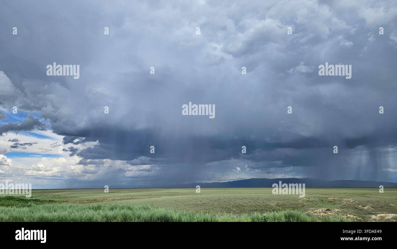 Regenschleier unter Gewitterwolken über Grasland entlang der P-16-Straße in Kasachstan Stockfoto
