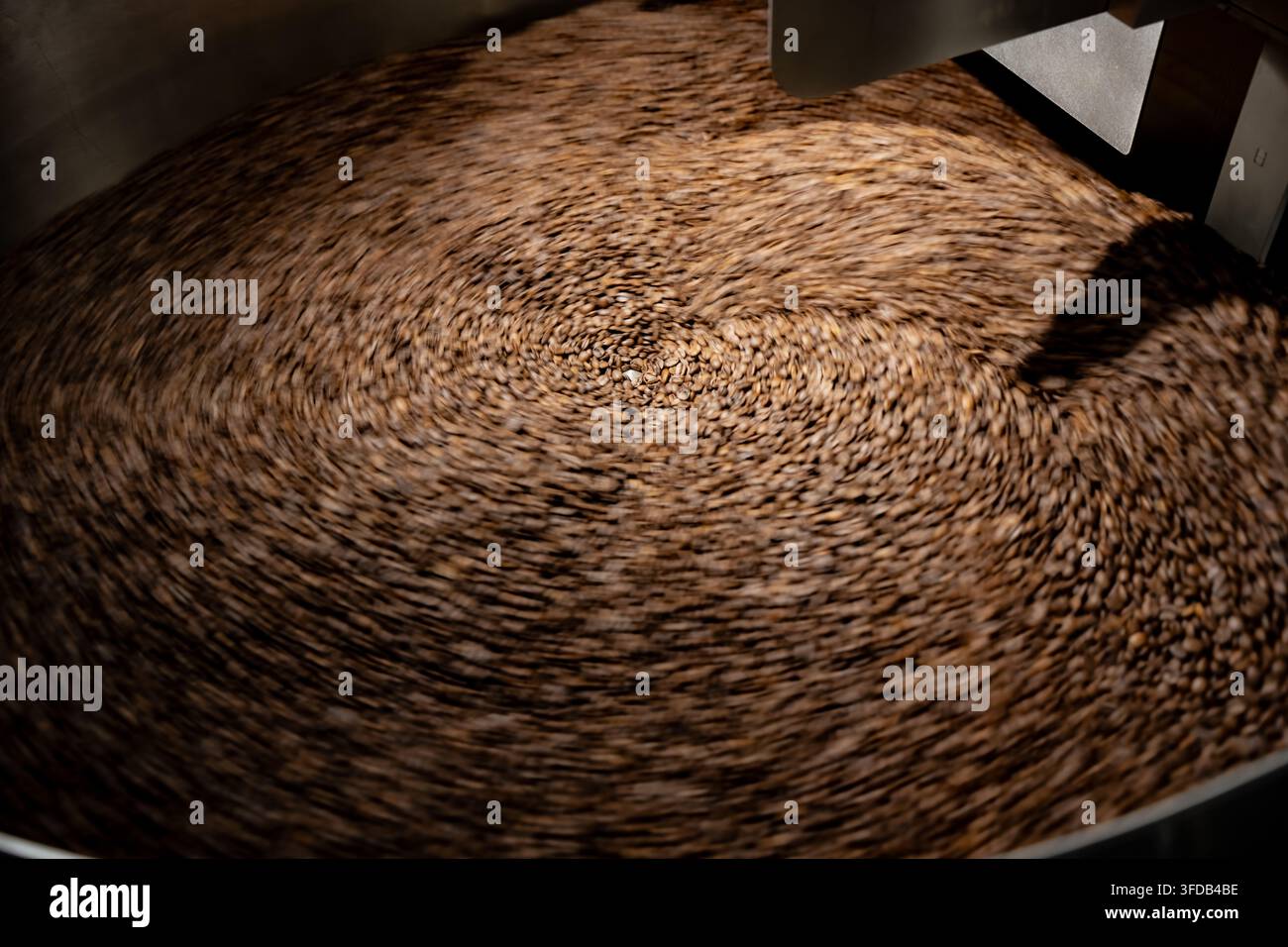 Geröstete Kaffeebohnen wirbeln über einem rotierenden Kühlblech und zeichnen das kreisförmige Rührmuster nach, das verwendet wird, um Bohnen nach dem Rösten schnell zu kühlen. Stockfoto