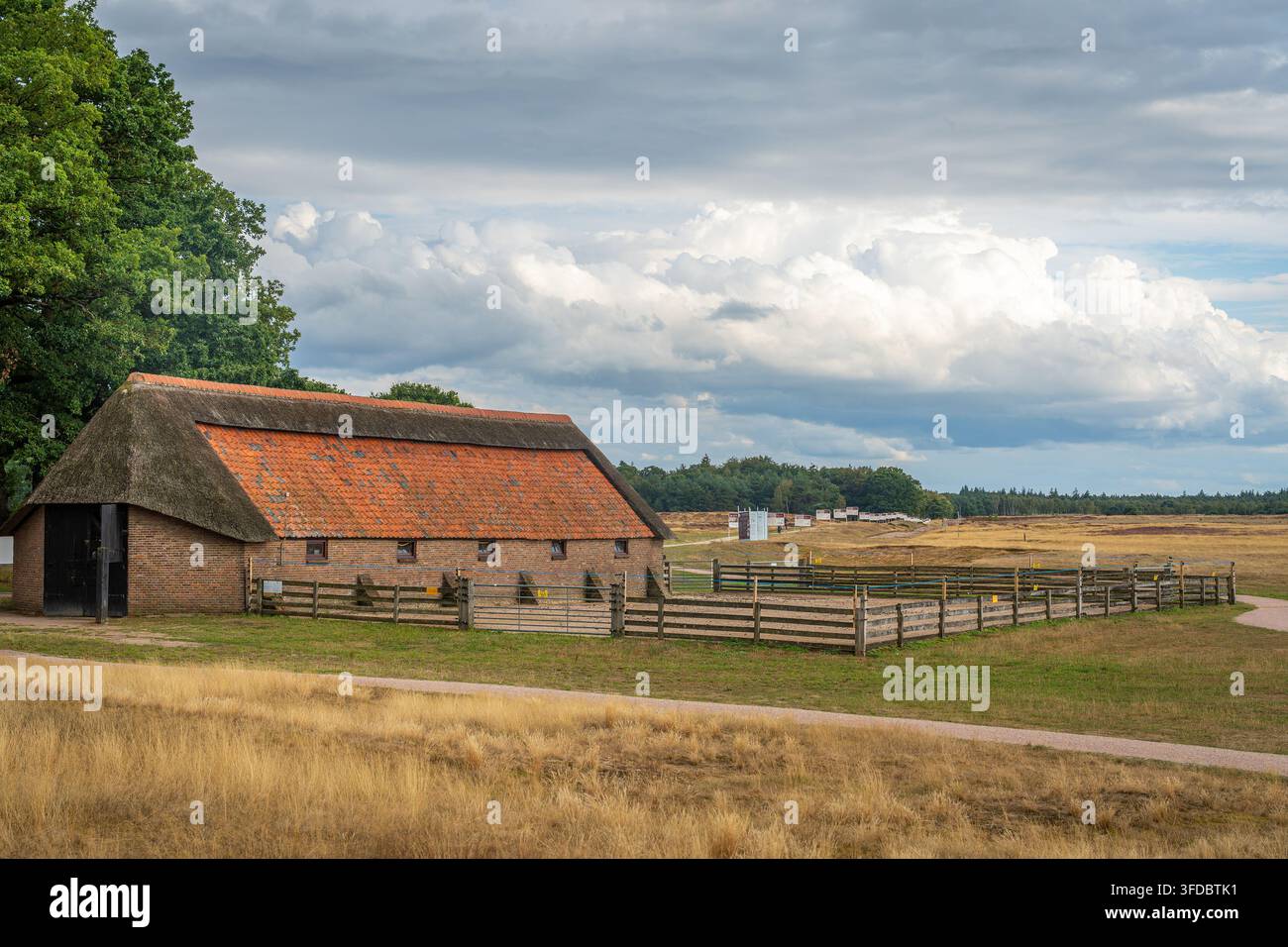Heidelandschaft Ginkel in Ede, Gelderland, mit altem Schafstall in der niederländischen Landschaft Stockfoto