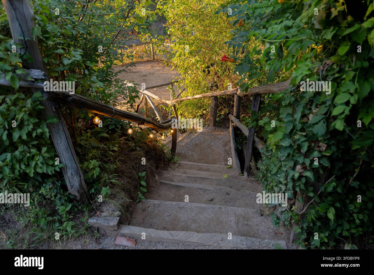 Eine rustikale Treppe mit Holzgeländern führt durch dichtes grünes Laub hinab zu einem sonnenbeschienenen Gartenweg. Stockfoto
