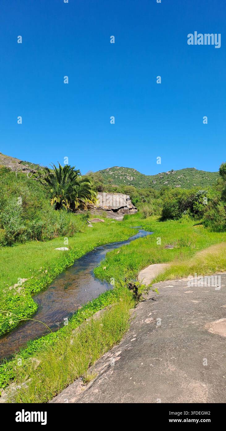 Bergbach, der durch die Landschaft von Cerro Colorado, Córdoba, Argentinien fließt Stockfoto