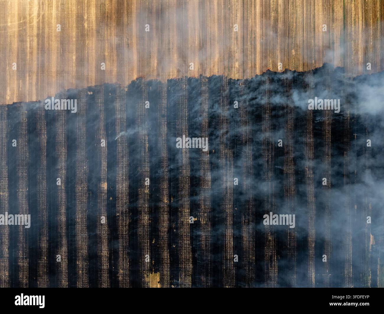 Abstraktes Rauchmuster mit goldener Beleuchtung Stockfoto
