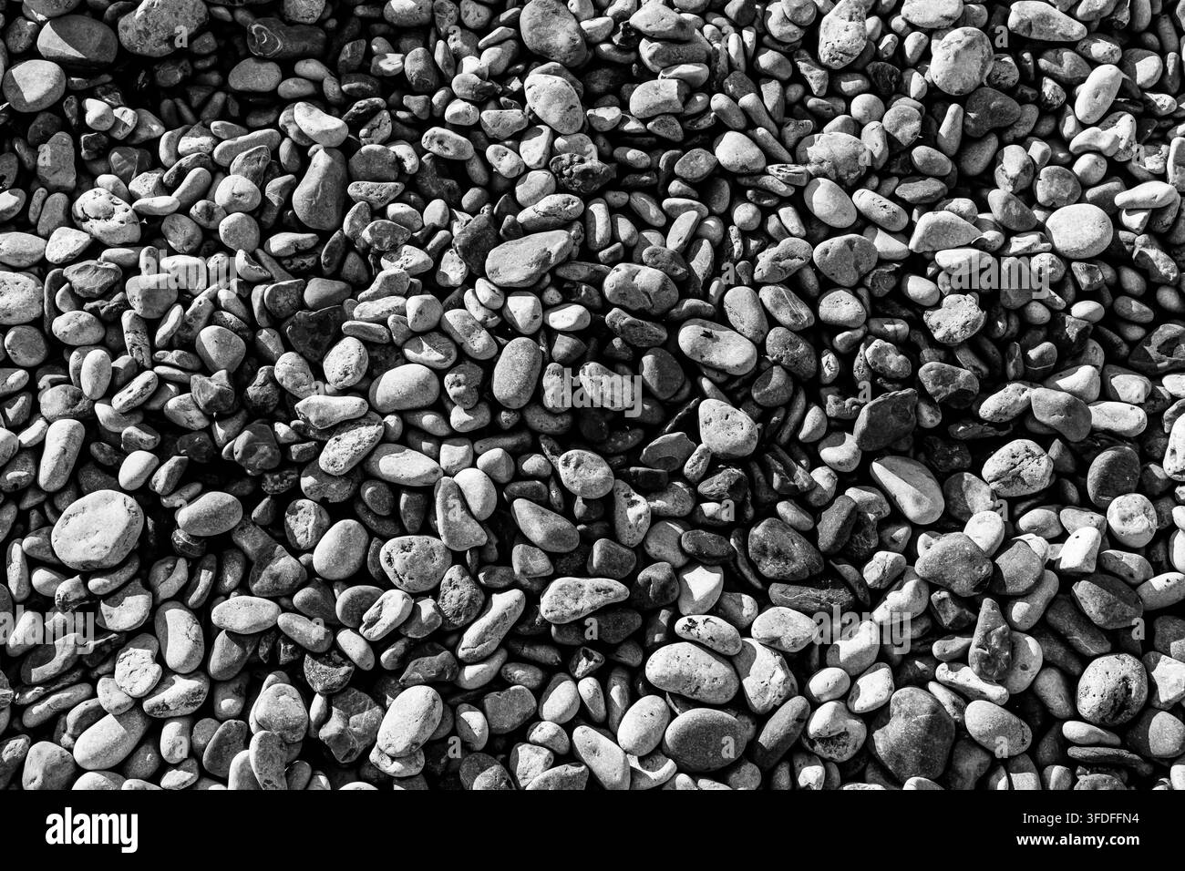 Einfarbige abstrakte Hintergrundansicht von glatten, abgerundeten Kieselsteinen und Steinen, die eine Strandoberfläche mit hohem Kontrastdetail bedecken Stockfoto