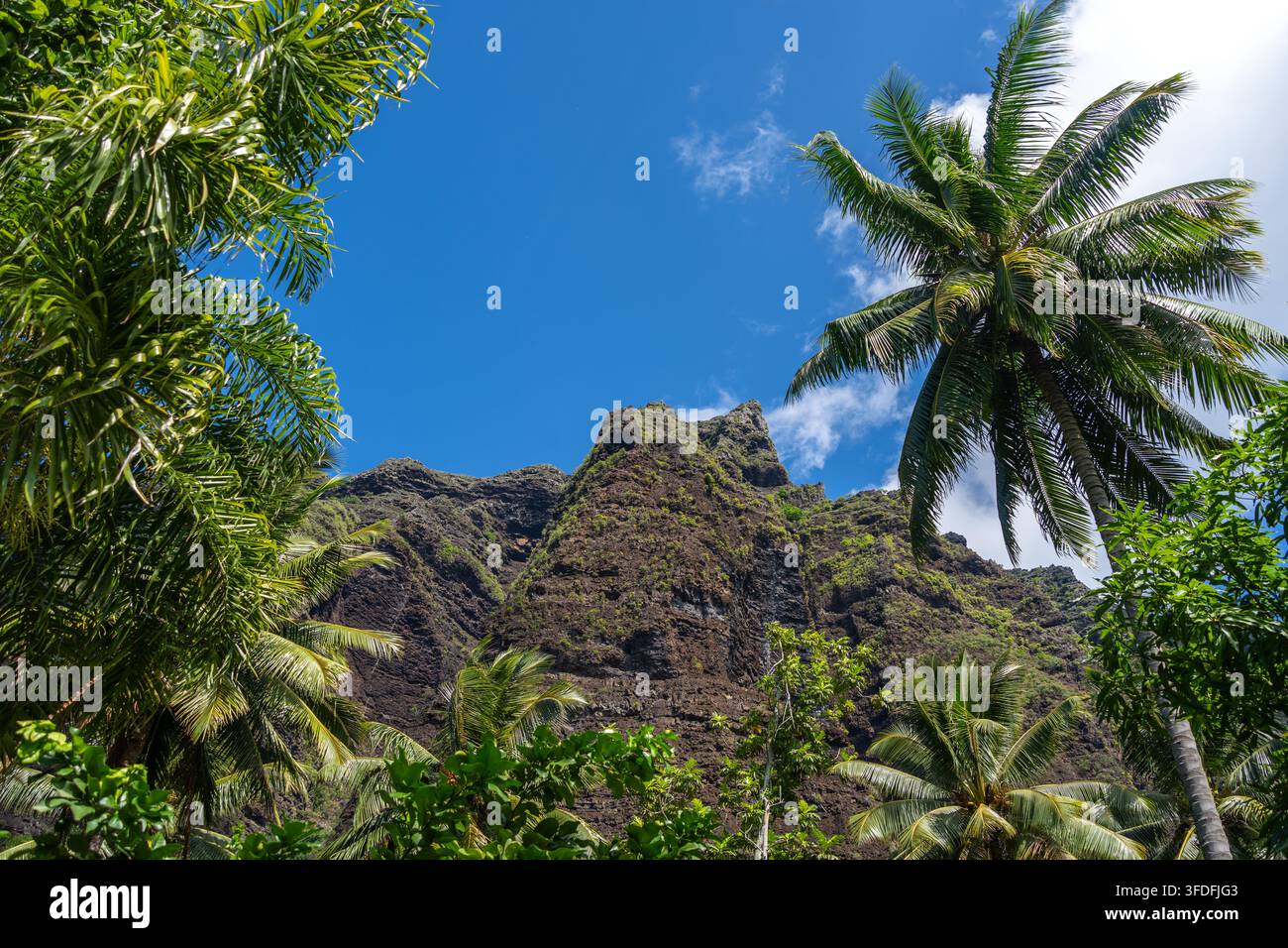 Ein üppiger Dschungelpfad durch das Hakaui-Tal, Nuku Hiva, die Marquesas-Inseln und Französisch-Polynesien. Majestätische Basaltklippen und dichte Vegetation umgeben die Tra Stockfoto