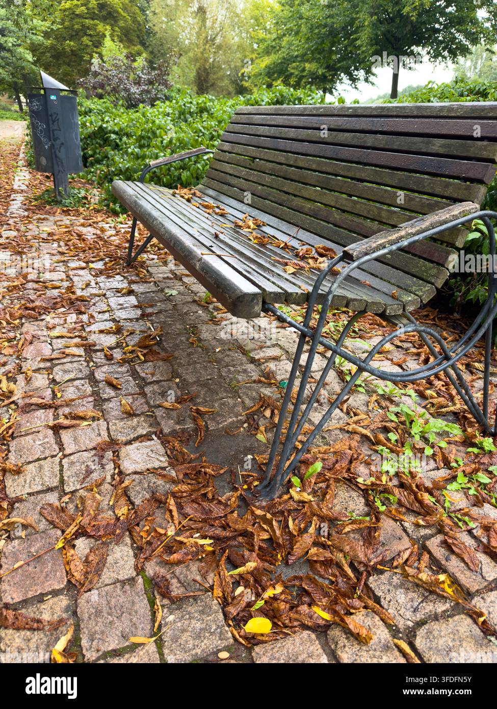 Herbstparkbank umgeben von gefallenen Blättern – Friedliche saisonale Outdoorszene Stockfoto