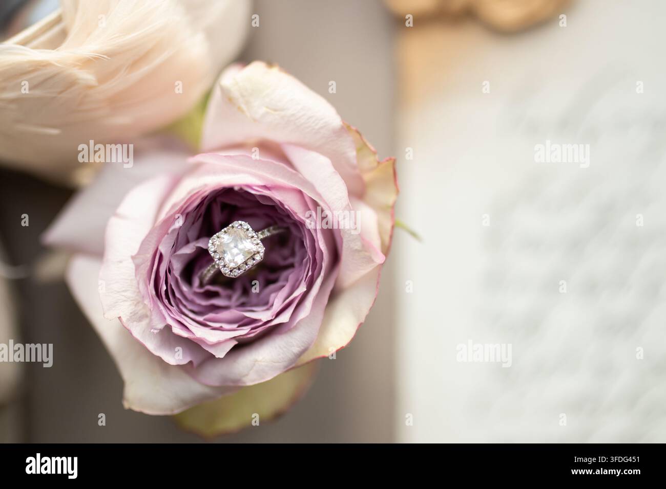 Diamant-Verlobungsring, der in einer Rose eingebettet ist Stockfoto