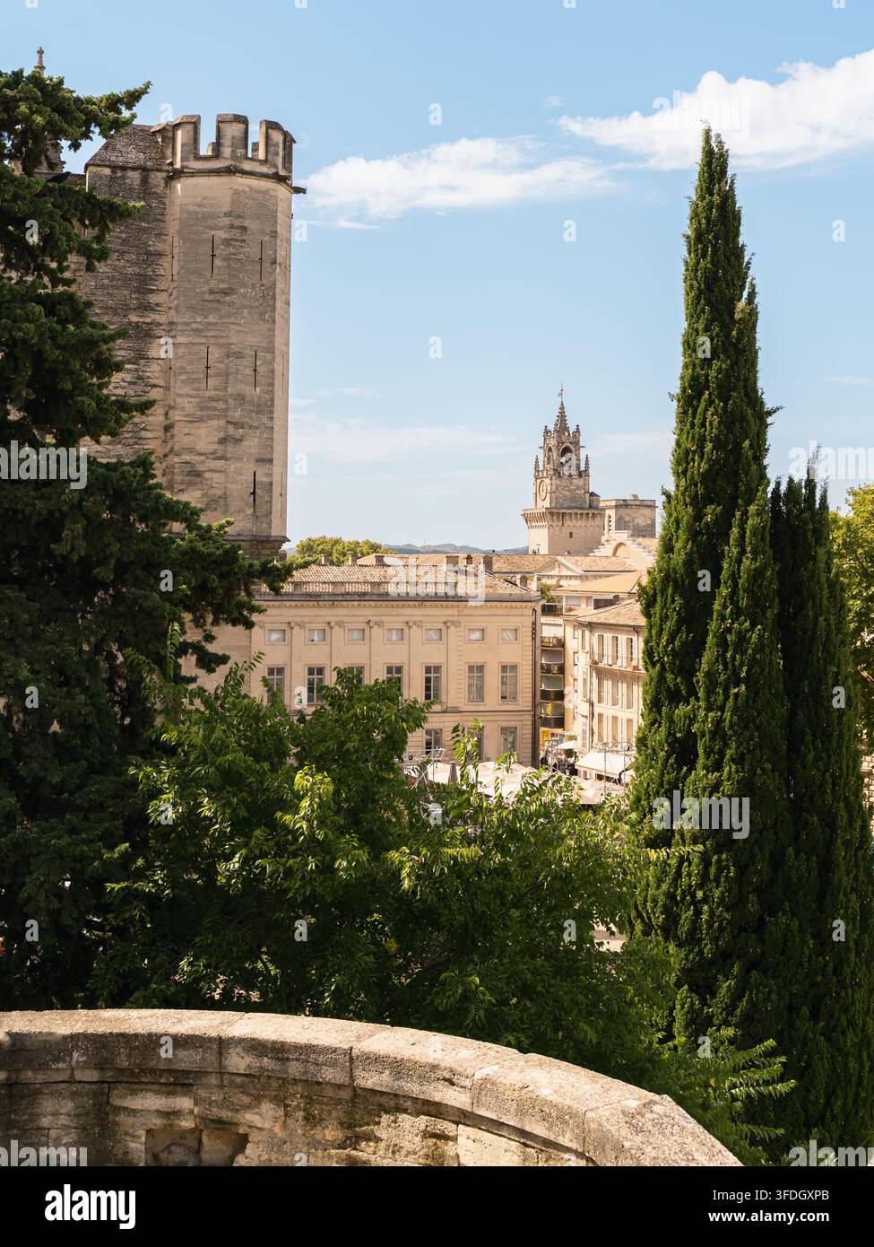 Blick auf das historische Palais des Papes, umgeben von Bäumen und mittelalterlicher Architektur in Avignon, Frankreich Stockfoto