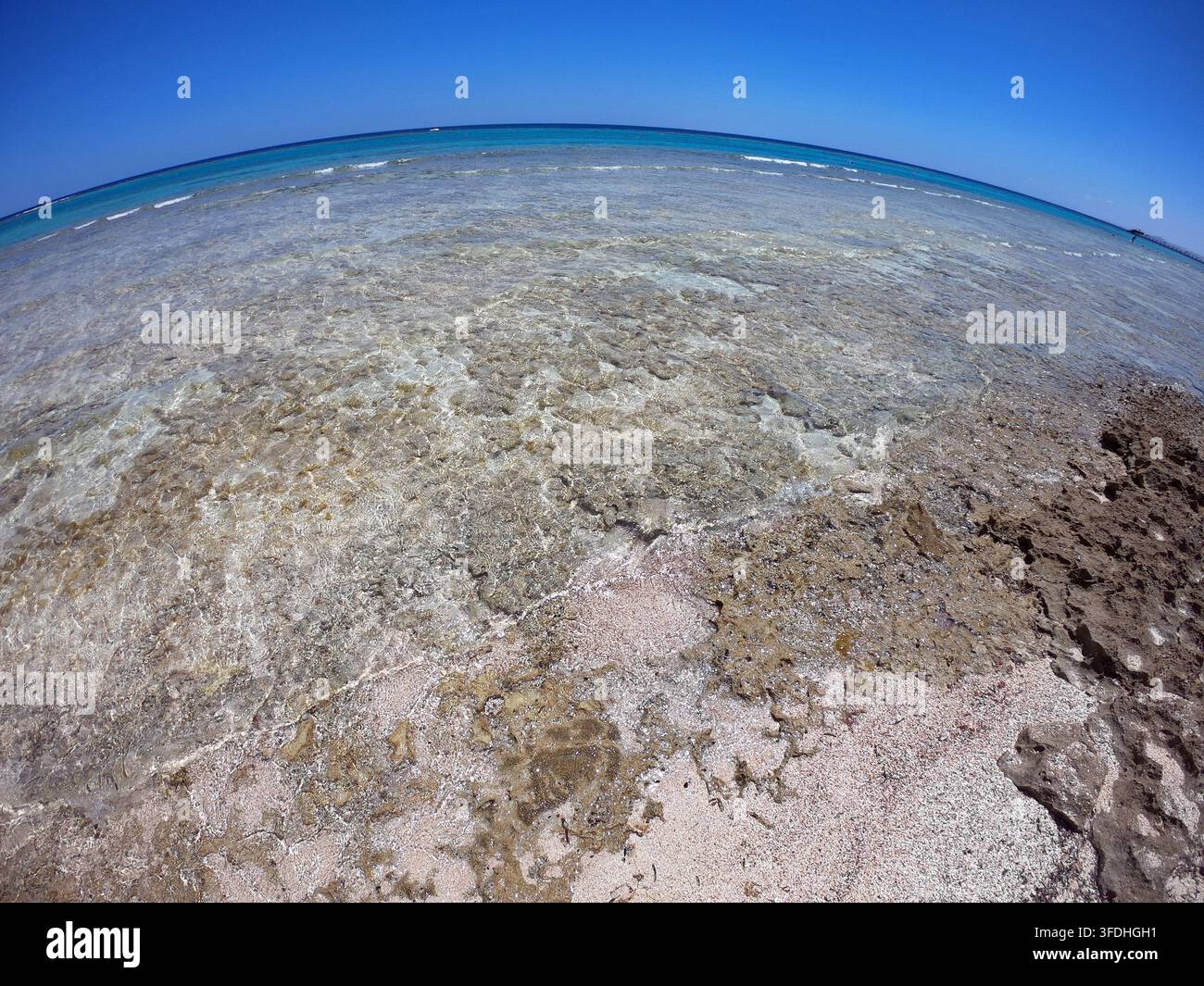 Korallenriff in der Nähe eines Resorts in Marsa Alam, Ägypten. Kristallklares Meerwasser, Korallen und Palmen Stockfoto
