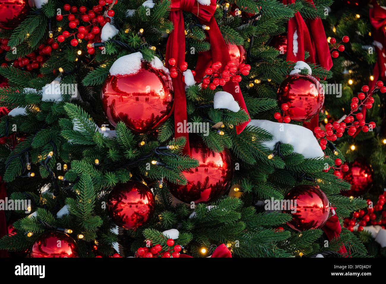 Immergrüner Weihnachtsbaum, der mit Schnee bedeckt und mit glänzenden roten Kugeln, roten Samtbanden, Beeren und warm leuchtenden Lichtern geschmückt ist. Stockfoto