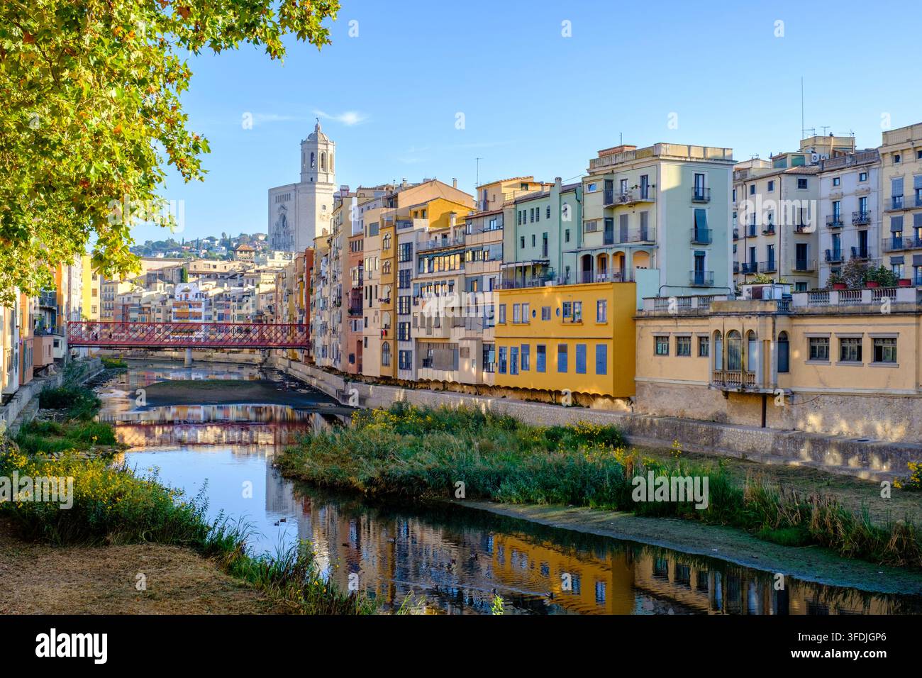 Girona Skyline, Girona-Kathedrale und Häuser, die sich im Onyar-Fluss spiegeln, Stadt Girona, Katalonien, Spanien Stockfoto