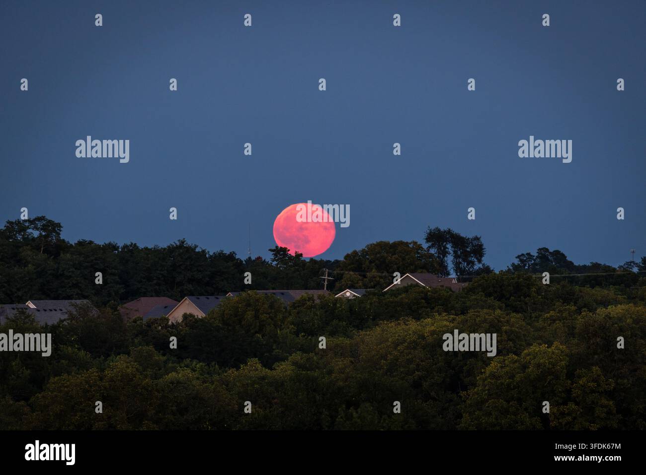 Sturgeon Moon erhebt sich über baumbedeckten Hügeln und einem Wohngebiet in Zentral-Kentucky Stockfoto