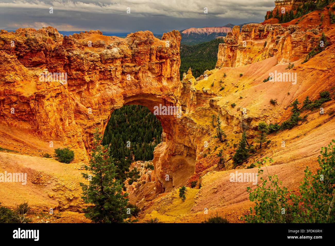 Eine Hochwinkel-Aufnahme des spektakulären 85-Fuß-Naturbrückenbogens im Bryce-Canyon-Nationalpark im Süden Utahs. Das feurige Orange und Rot der Sedimente Stockfoto