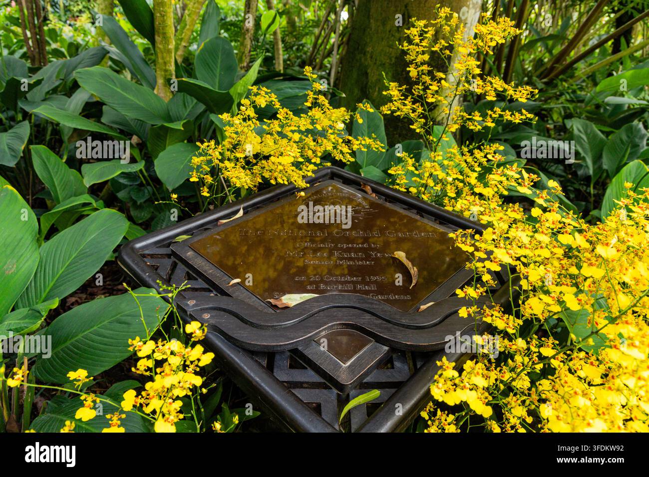 National Orchid Garden in Singapur Stockfoto