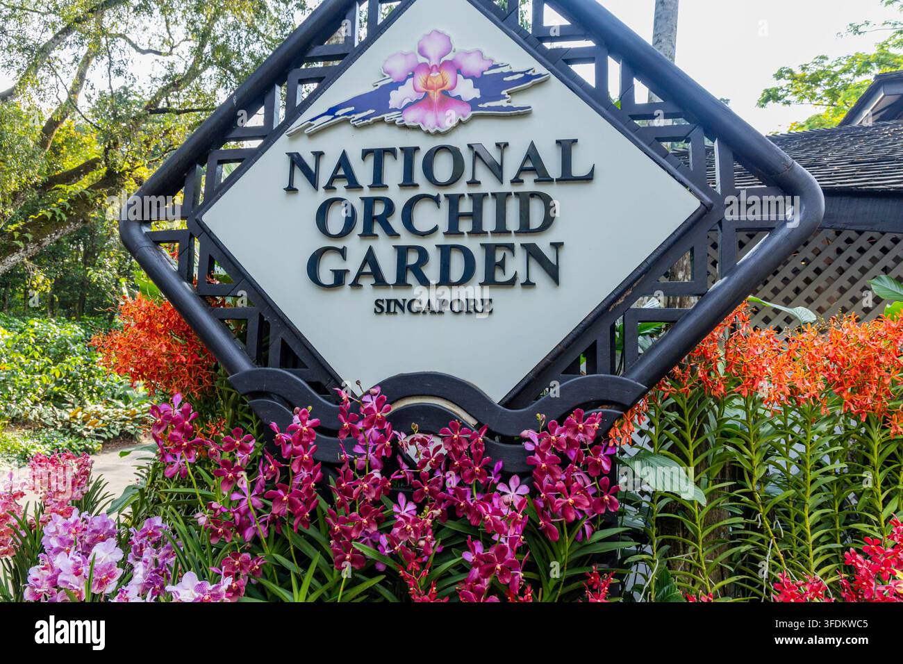 National Orchid Garden in Singapur Stockfoto