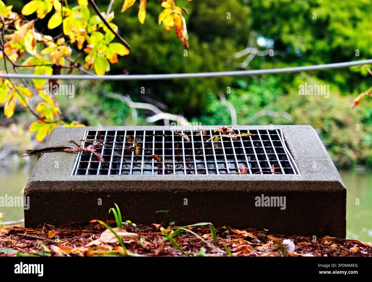 Betonabflussgitter mit gefallenen Blättern liegt neben gepflegter Vegetation und Wasser am Palace of Fine Arts in San Francisco. Stockfoto