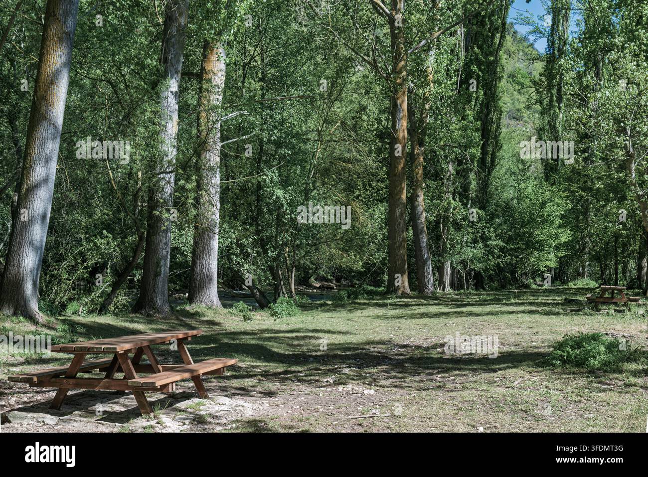 Picknickplatz mit Holztischen in einem üppigen grünen Wald von Villaescusa de Ebro, Burgos, Kastilien und León, Spanien. Ein friedlicher Erholungsort im Freien. Stockfoto