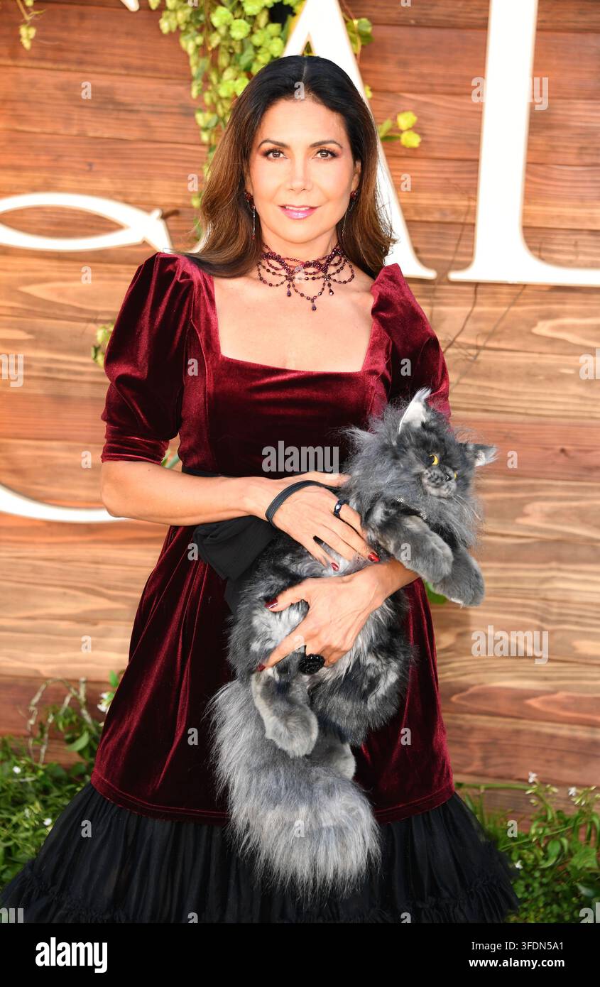 WESTWOOD, KALIFORNIEN - 31. AUGUST: Patricia Manterola nimmt an der Premiere von Warner Bros. Pictures' „Practical Magic 2“ im Directors Village am August teil Stockfoto