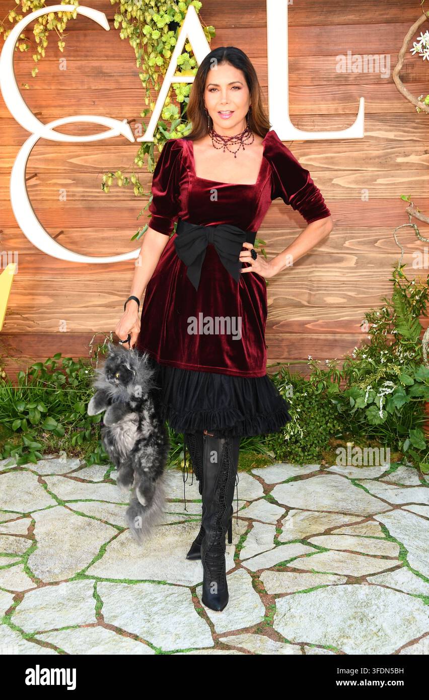 WESTWOOD, KALIFORNIEN - 31. AUGUST: Patricia Manterola nimmt an der Premiere von Warner Bros. Pictures' „Practical Magic 2“ im Directors Village am August teil Stockfoto