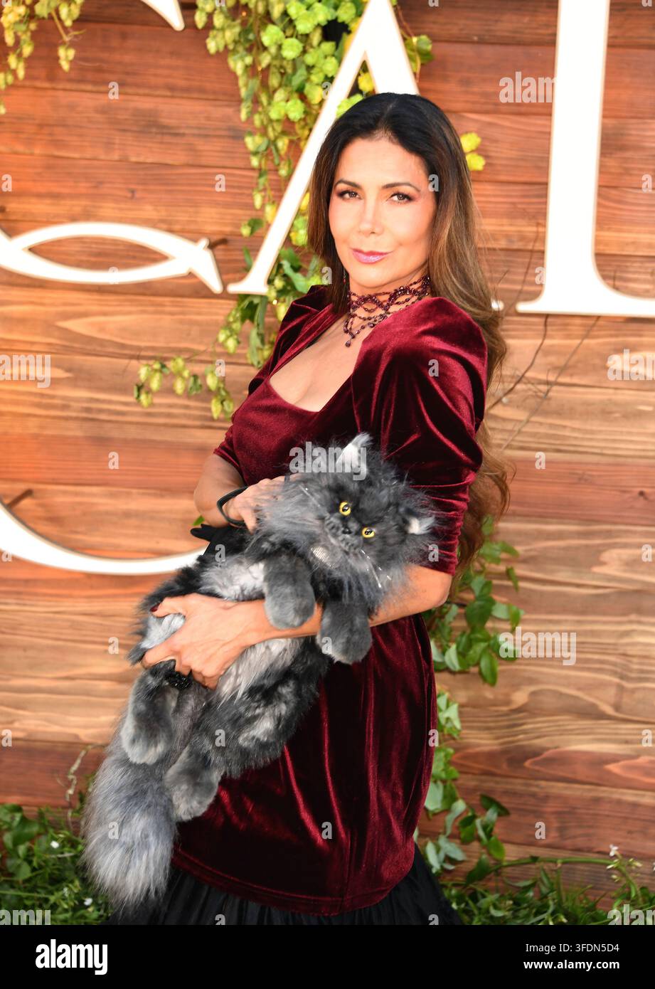 WESTWOOD, KALIFORNIEN - 31. AUGUST: Patricia Manterola nimmt an der Premiere von Warner Bros. Pictures' „Practical Magic 2“ im Directors Village am August teil Stockfoto