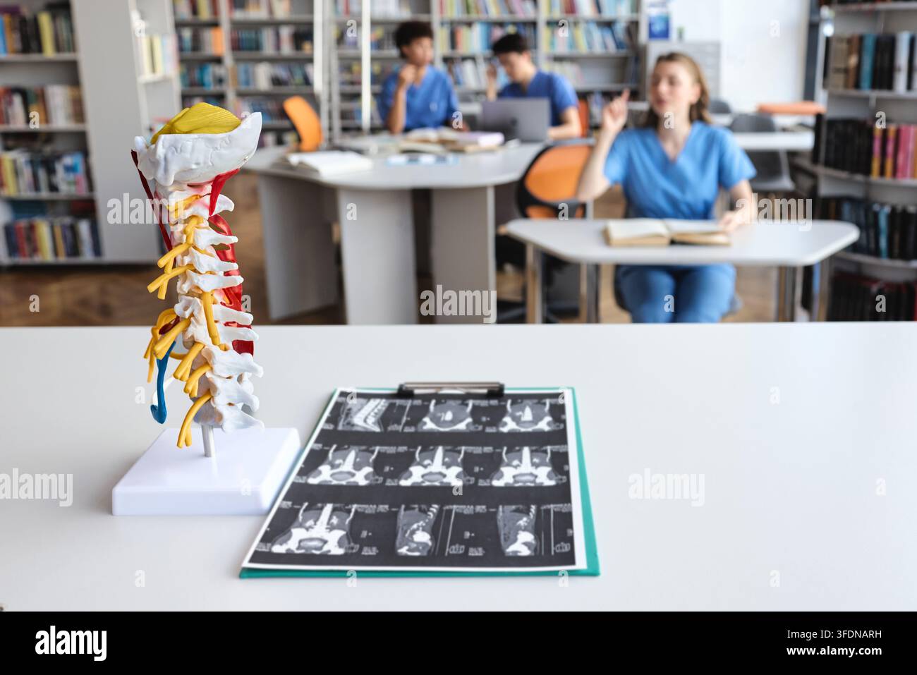 Detaillierte Darstellung der menschlichen Halswirbelsäule und der neuronalen Pfade, die den Weg zu fortgeschrittener orthopädischer Diagnostik in der akademischen Medizin führen Stockfoto