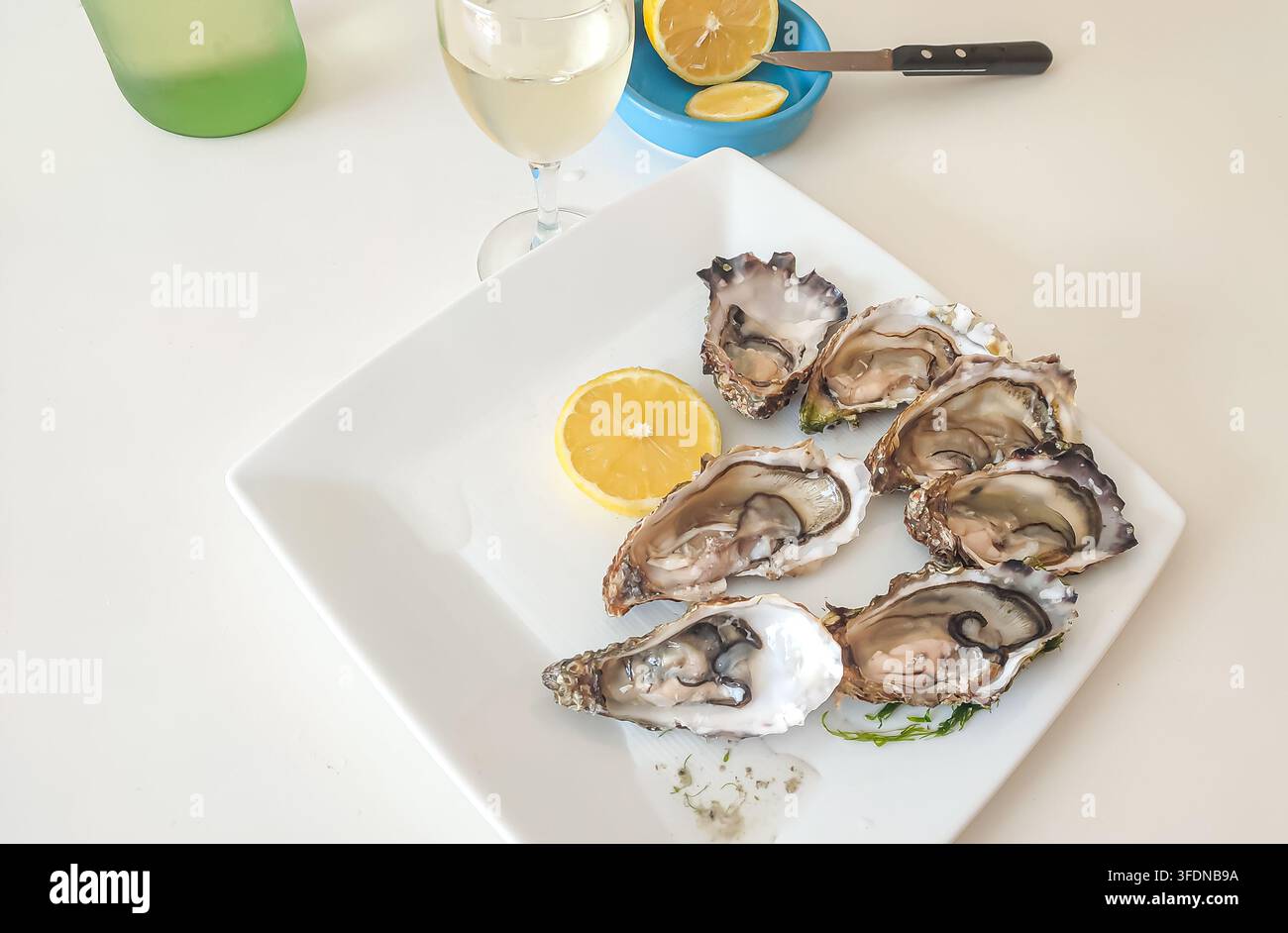 Frische Austern auf einem weißen Teller angeordnet mit Zitronenscheiben, begleitet von einem Glas Weißwein in einer hellen Essumgebung Stockfoto