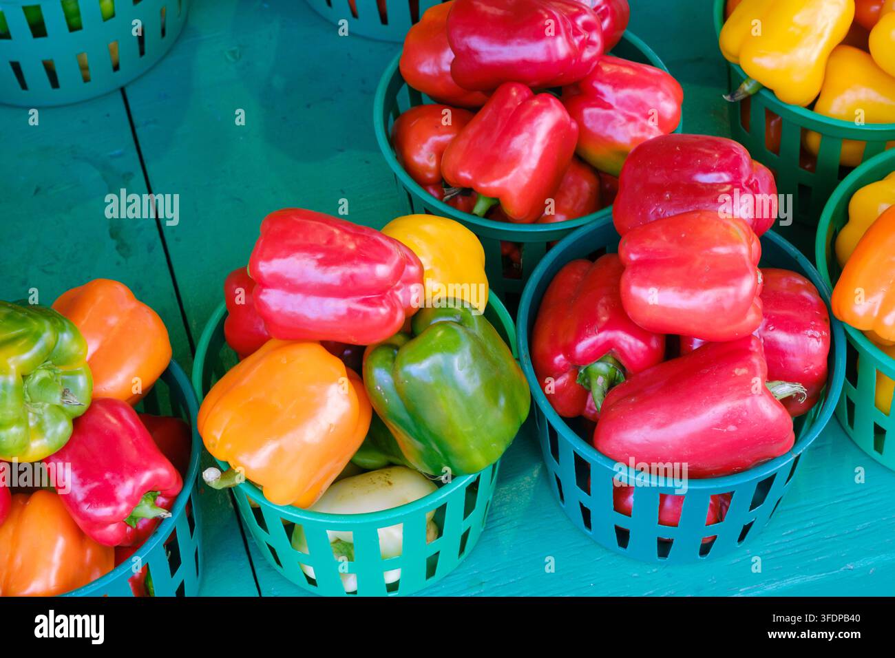 Paprika in Plastikboxen auf einem Markt in Montreal, Montreal, CA Stockfoto