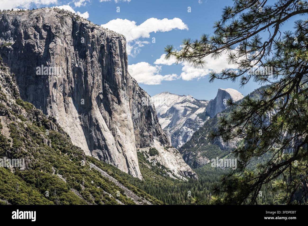 POHONO TRAIL, USA - 28. JUNI 2026: Massive Granitfelsen von El Capitan und das entfernte Half Dome vom Tunnel View Point aus gesehen, eingerahmt von Kiefernzweigen unter Stockfoto