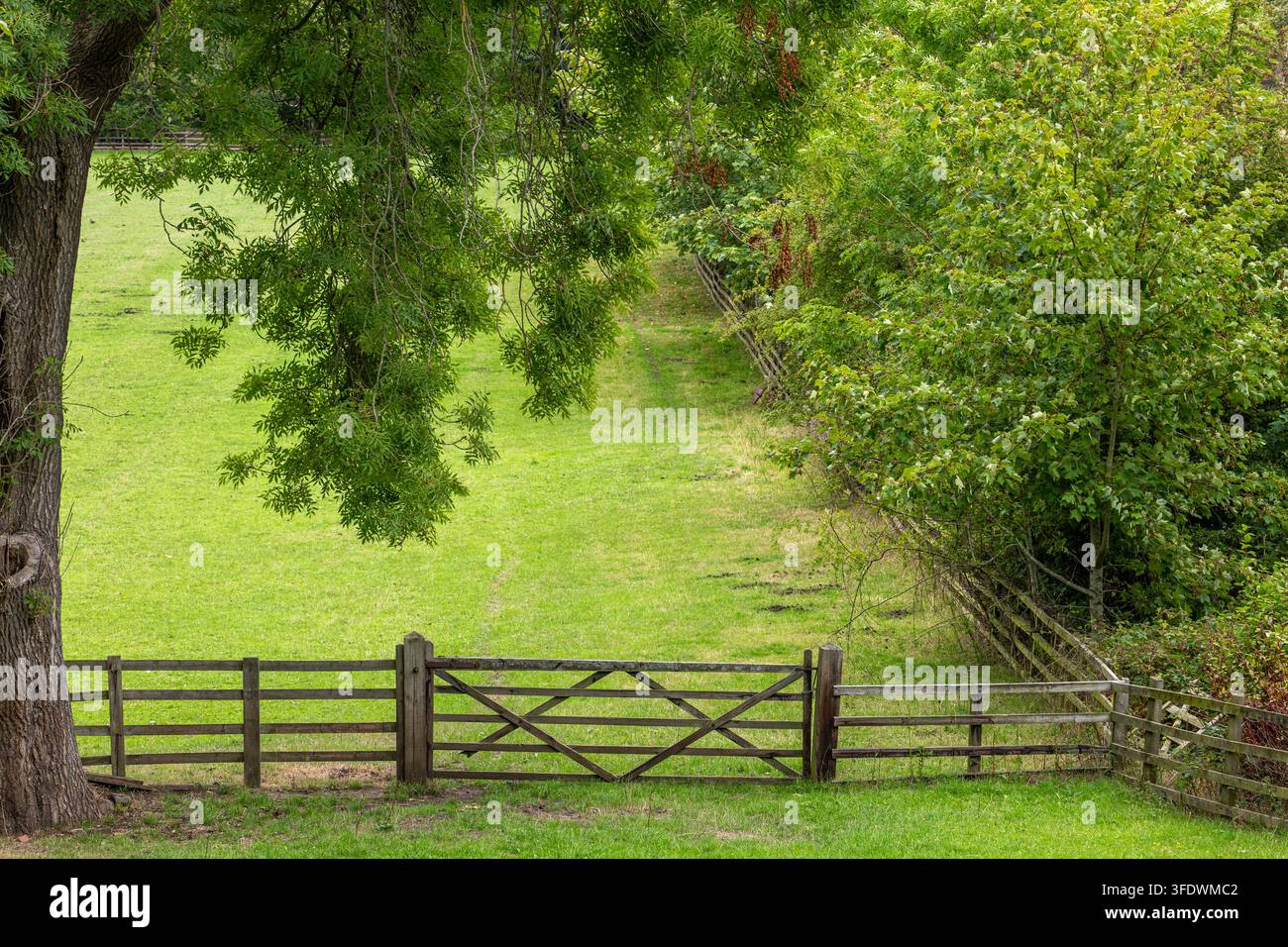 Rustikale Landschafter in Nordengland Stockfoto