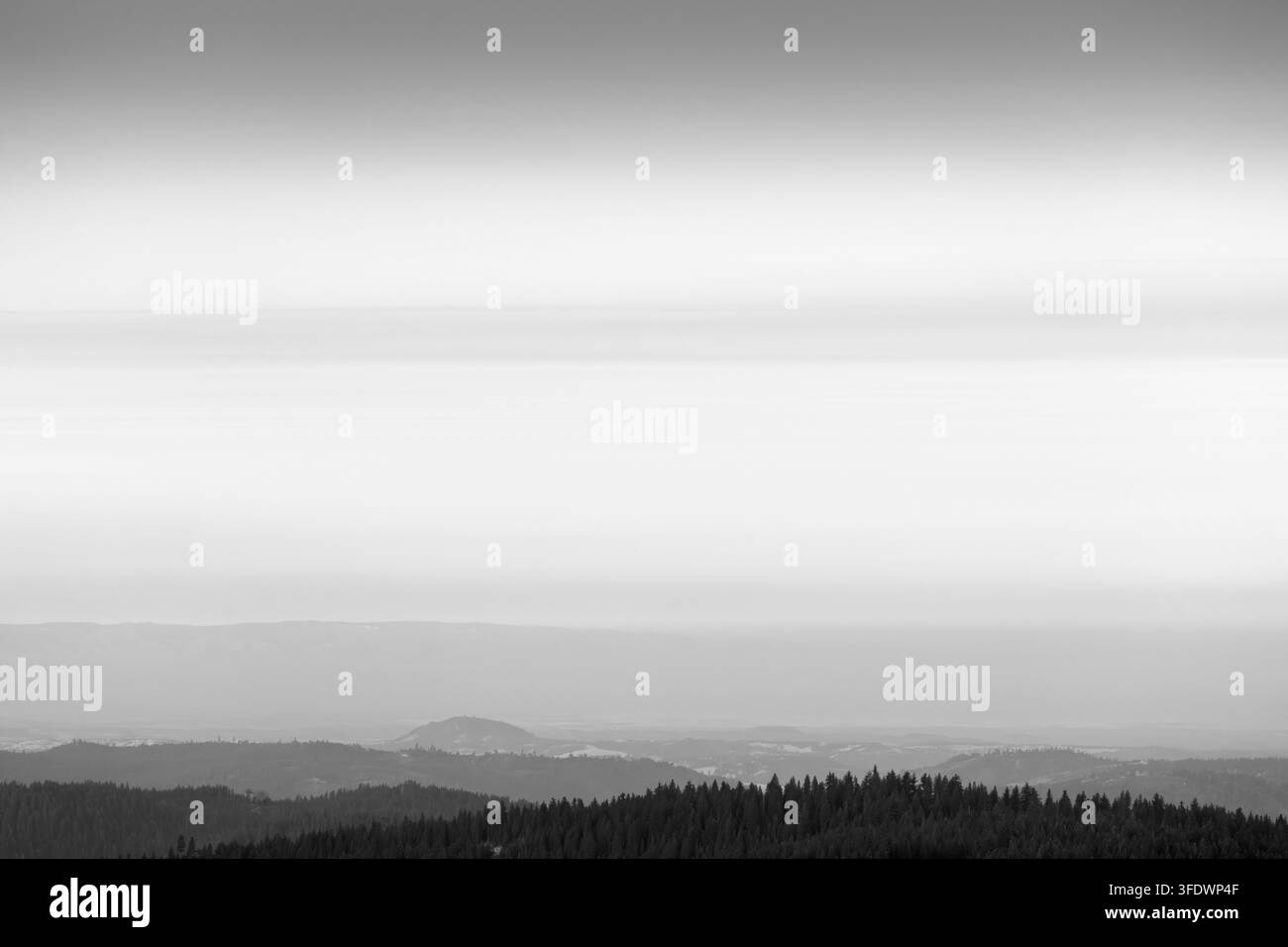 Neblige Gebirgskämme und Wald in Schwarz-Weiß Stockfoto