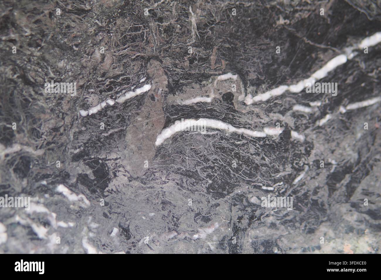 Marmortextur mit weißen Adern in dunklem Stein Stockfoto