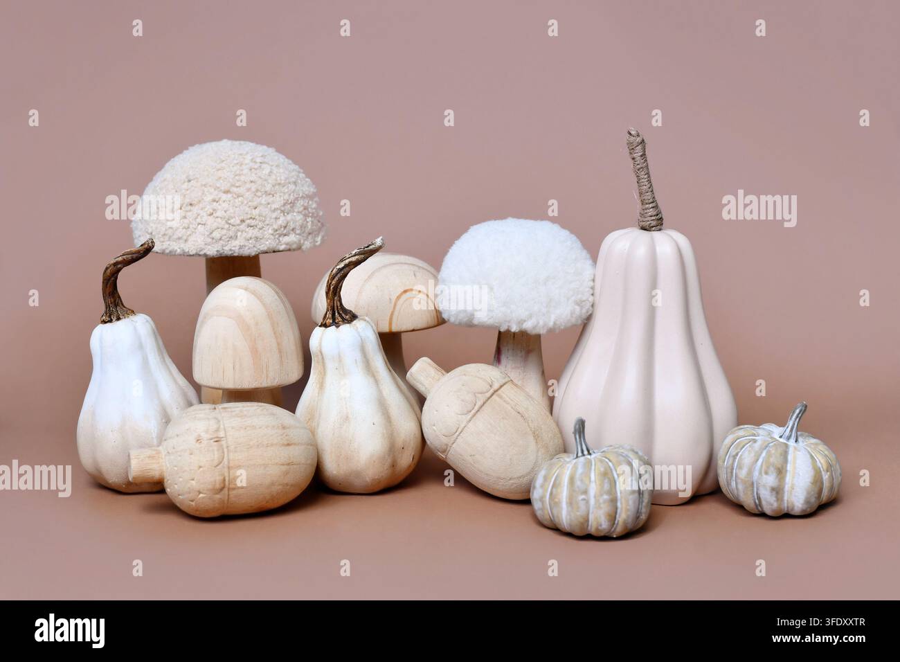 Dekorative Kürbis-, Pilz- und Eichelornamente auf beigefarbenem Hintergrund. Boho-Herbstkomposition Stockfoto