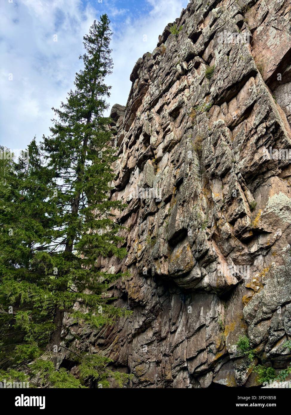Massive Granitfelsenwand mit Flechten und Kiefer, Stolby-Naturreservat, Krasnoyarsk, Sibirien, Russland - Smartphone-aufgenommenes Stockfoto
