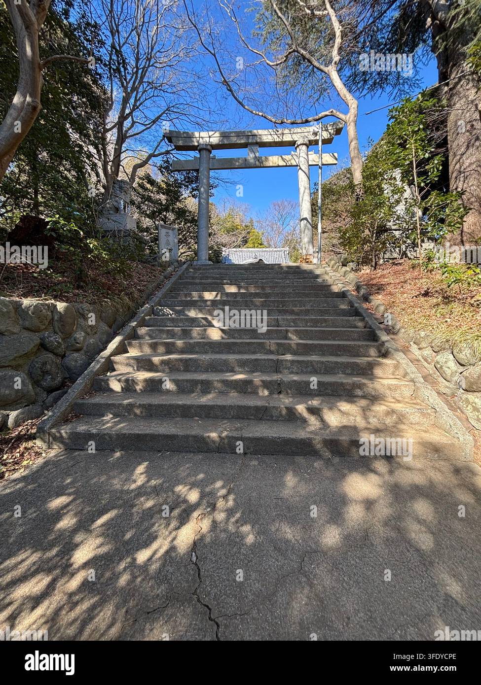 Schritte zum Tori-Tor mit Bäumen auf beiden Seiten - Smartphone-aufgenommenes Stockfoto