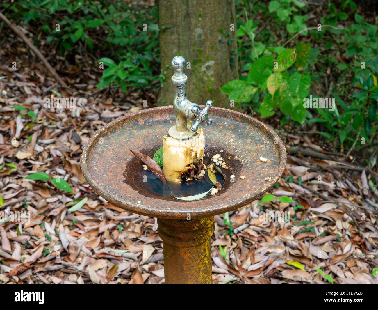 Trinkwasserhahn im Hosoe-Park in Kiga, Hamana-Ward, Hamamatsu, Shizuoka, Japan, 2. September 2026 Stockfoto