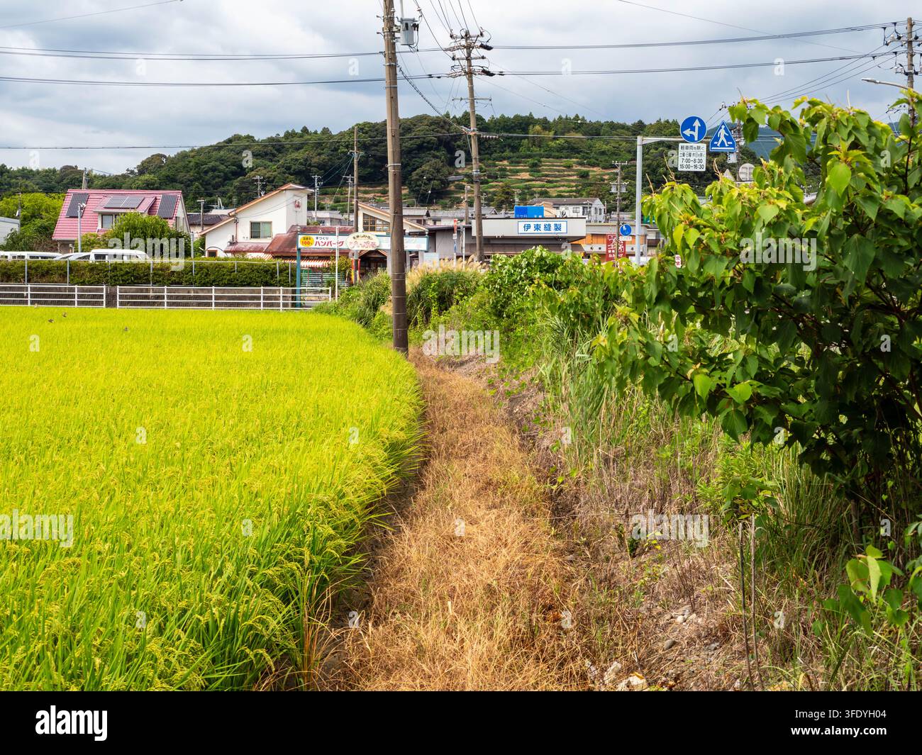 Überreste des ehemaligen Enshu-Eisenbahn-Okuyama-Linien-Bettungsbereichs nahe dem Bahnhof Kanazashi in Hamamatsu, Shizuoka, Japan, am 2. September 2026. Stockfoto
