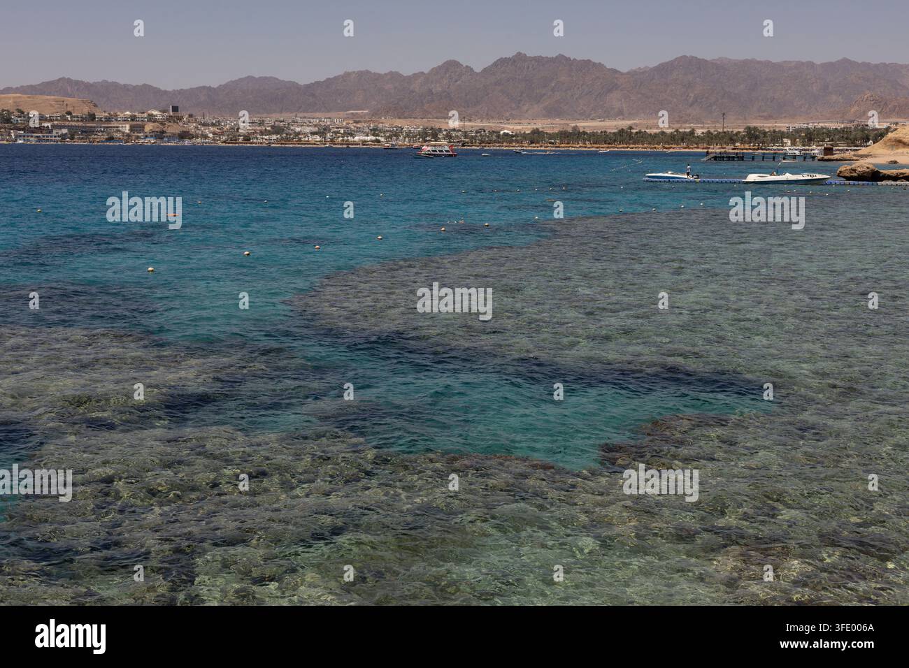 Klares türkisfarbenes Wasser über einem flachen Korallenriff in der Nähe des Movenpick Resorts Sharm El Sheikh, Ägypten, mit der Küste des Roten Meeres in der Ferne Stockfoto