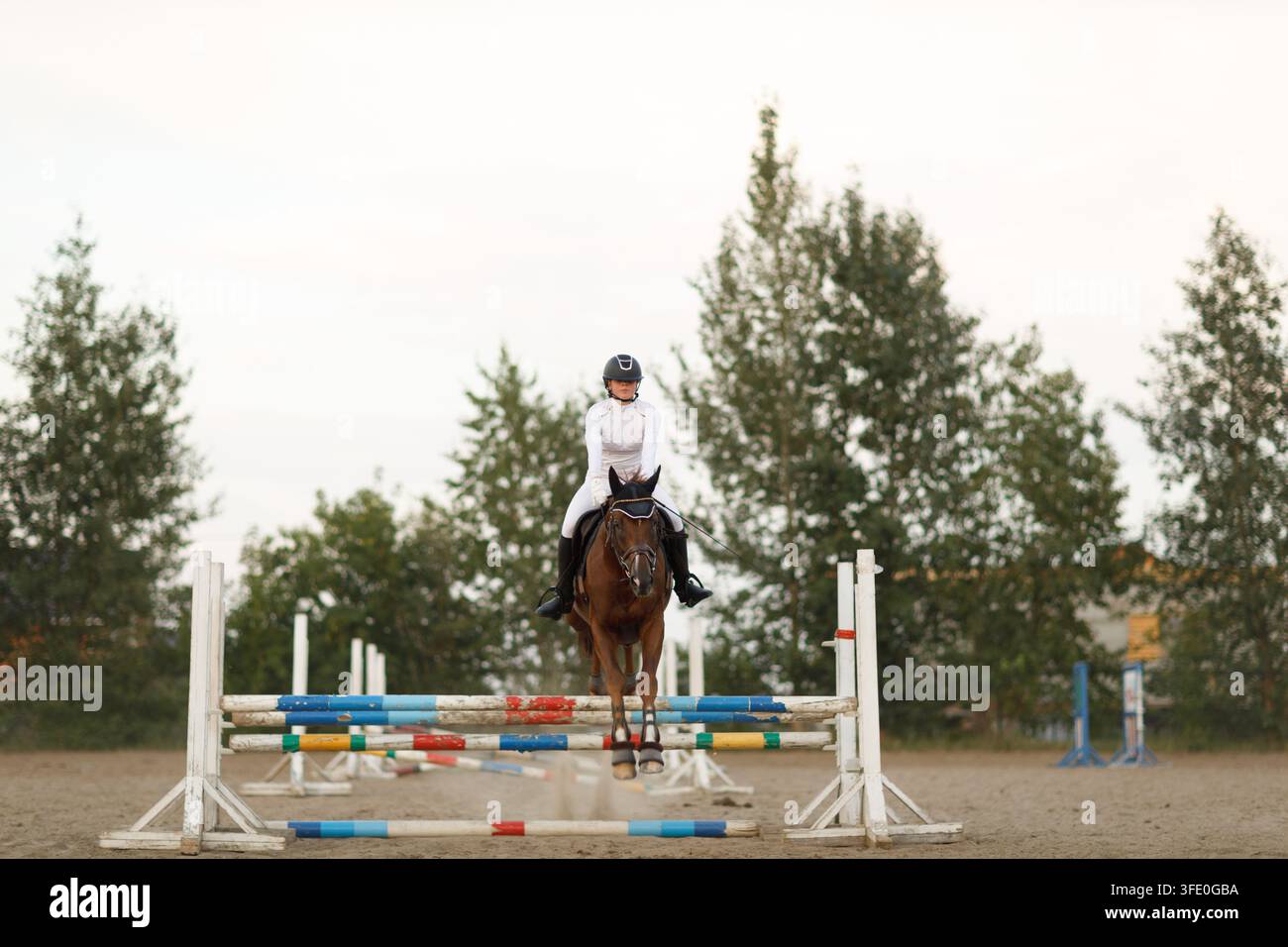 Dressurpferd und Reiterin in Uniform während des Reitspringens. Stockfoto